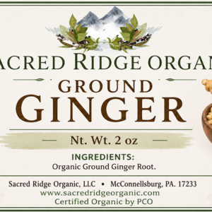 Ground Ginger 2 oz Glass Shaker Bottle